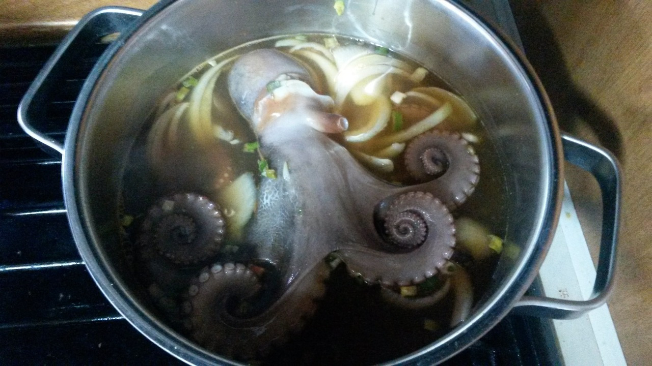 41. 문어라면.jpg