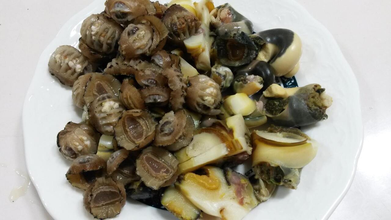 39. 군벗소라숙회.jpg