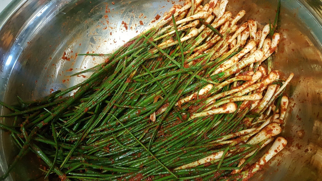 352. 파김치.jpg