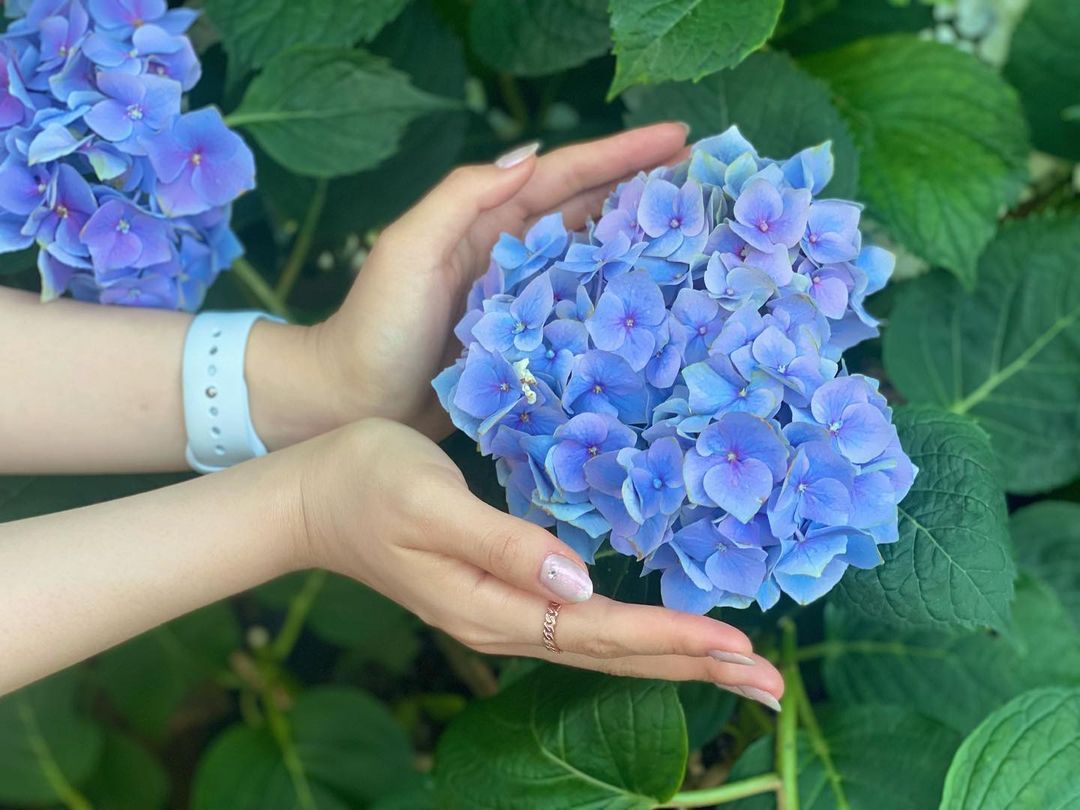 232076867_310583834125473_205897602582890340_n (1).jpg