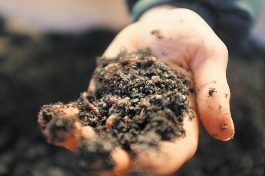 친환경 지렁이.jpg