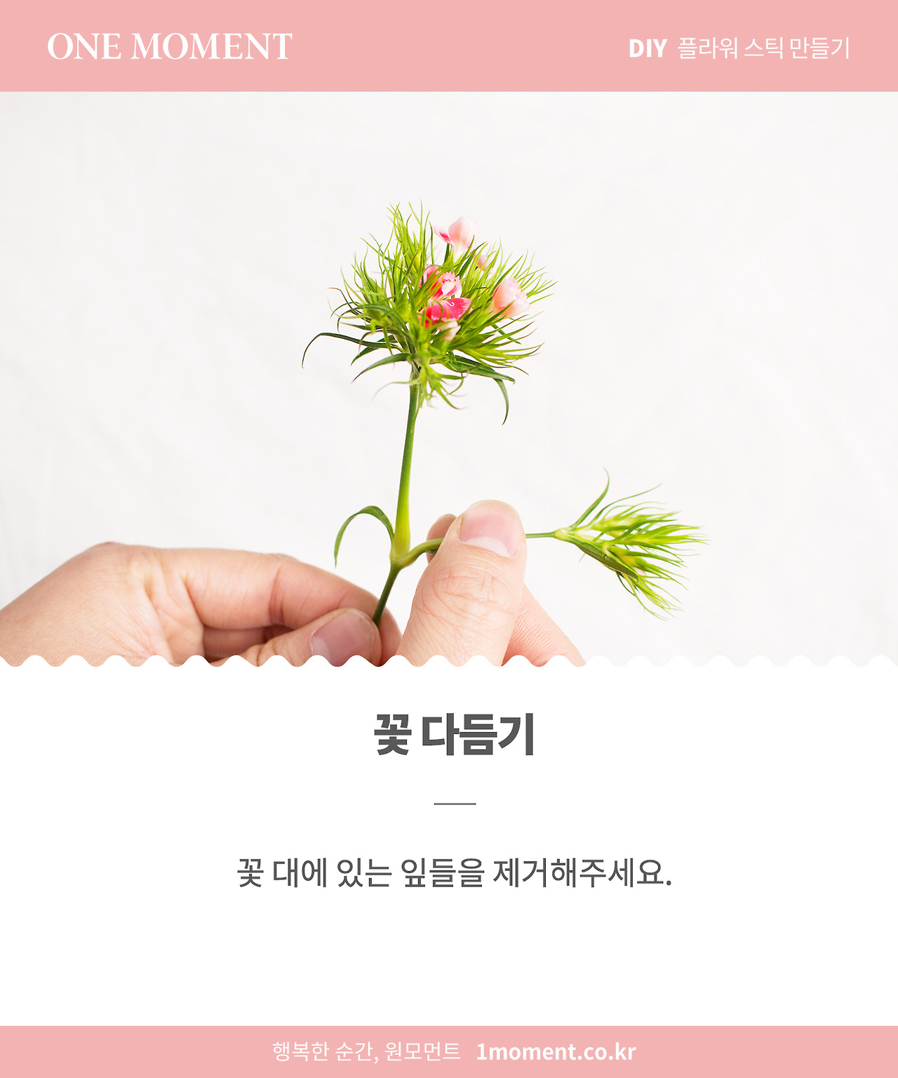 card news_flowerstick_3.jpg