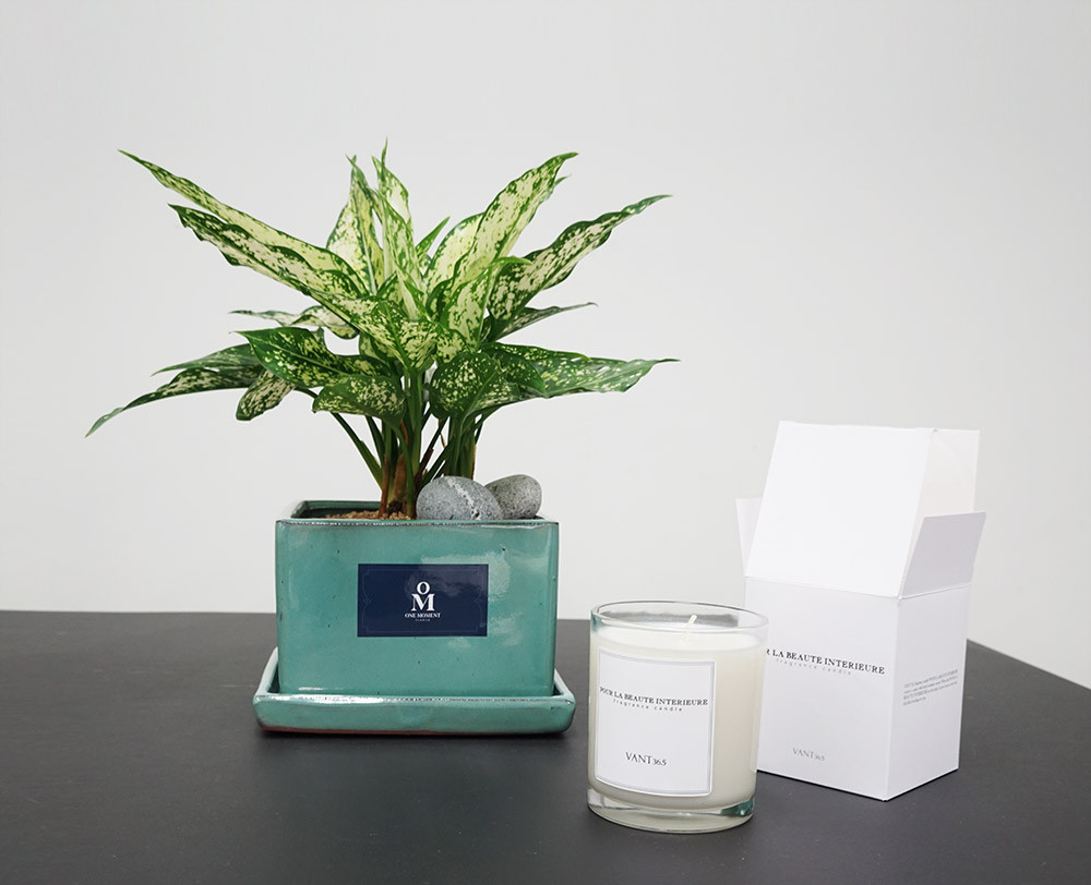 공기정화세트 1.jpg