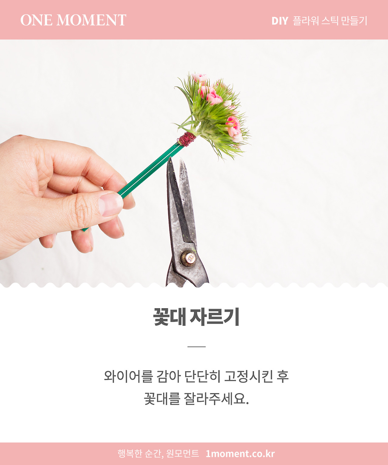 card news_flowerstick_5.jpg