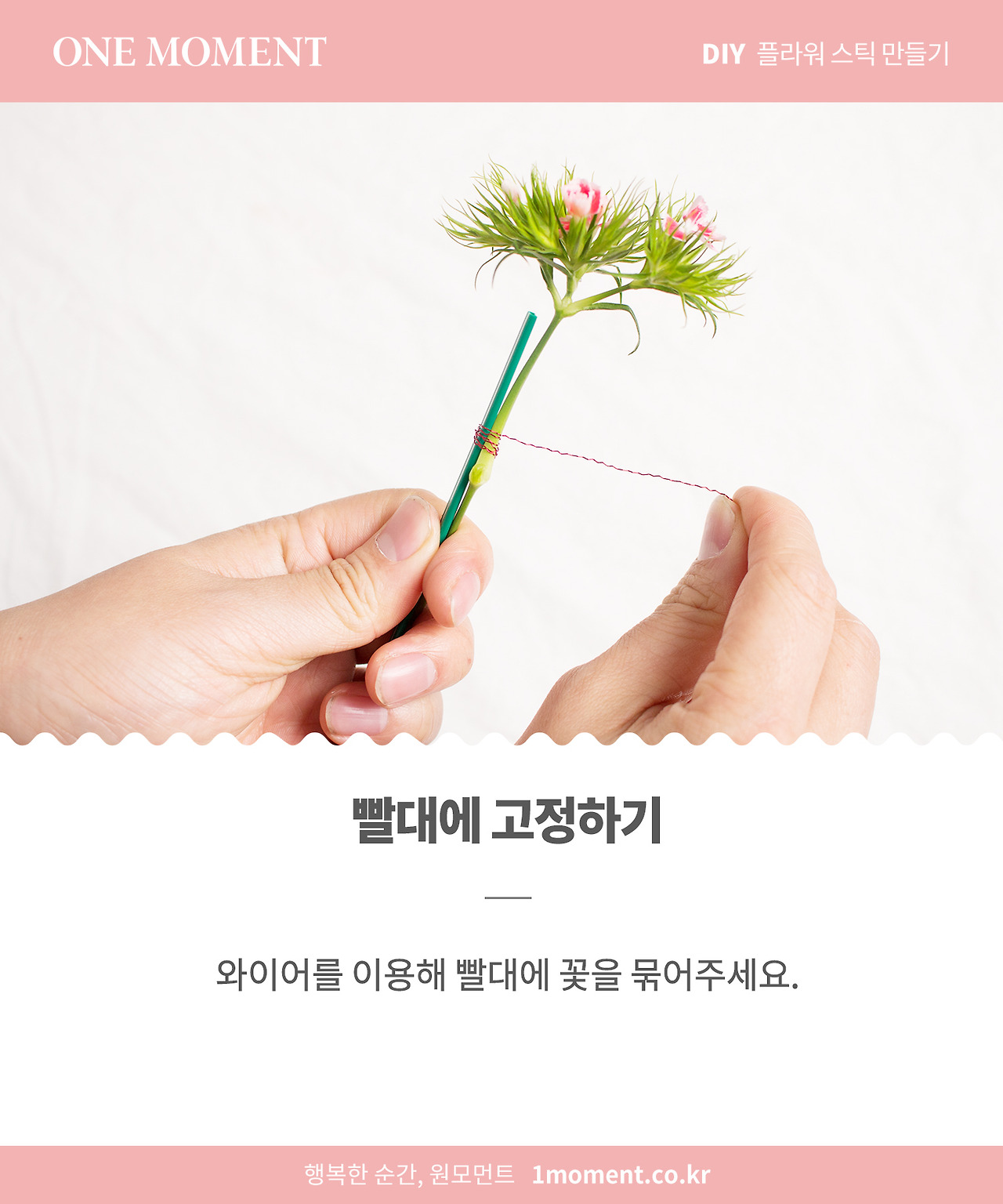 card news_flowerstick_4.jpg