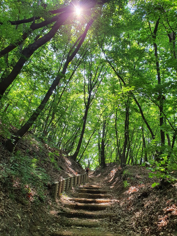 산책로햇살1.jpg