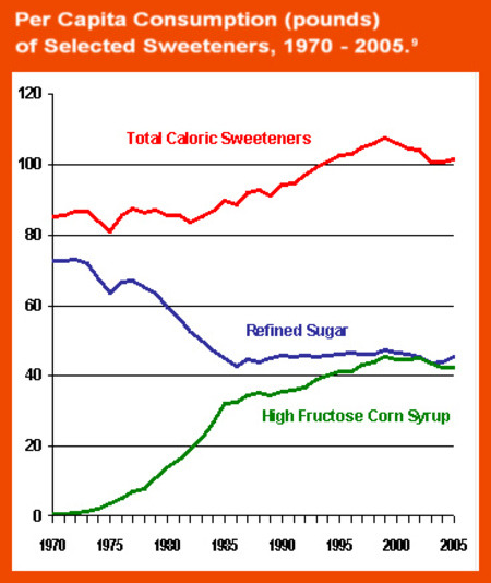 과당 섭취 증가.jpg