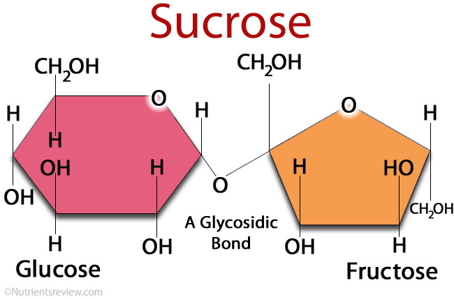 Sucrose.jpg