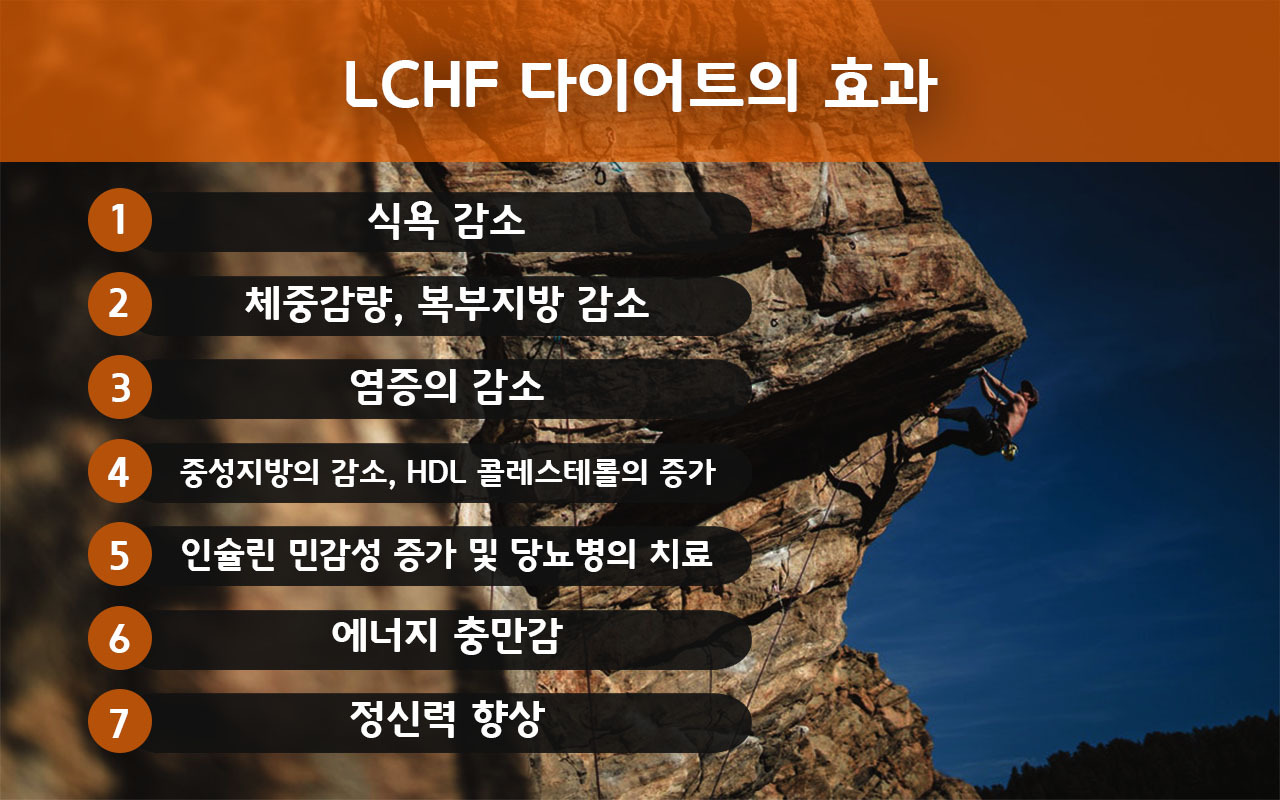 LCHF 다이어트의 효과.jpg