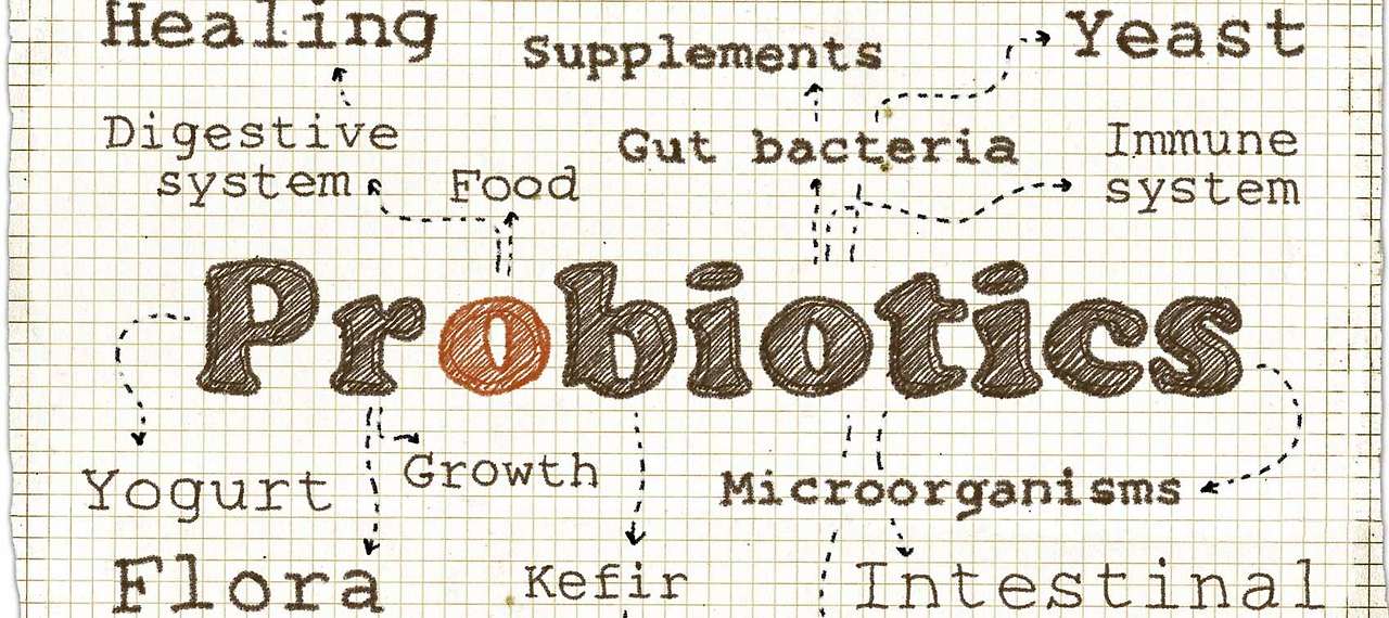 whit-probiotics-cover.jpg