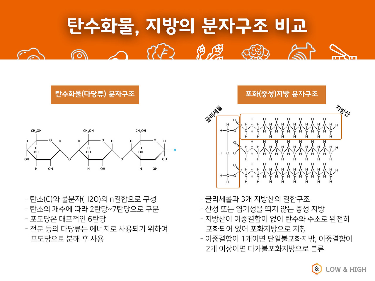 탄수화물과 지방구조.jpg