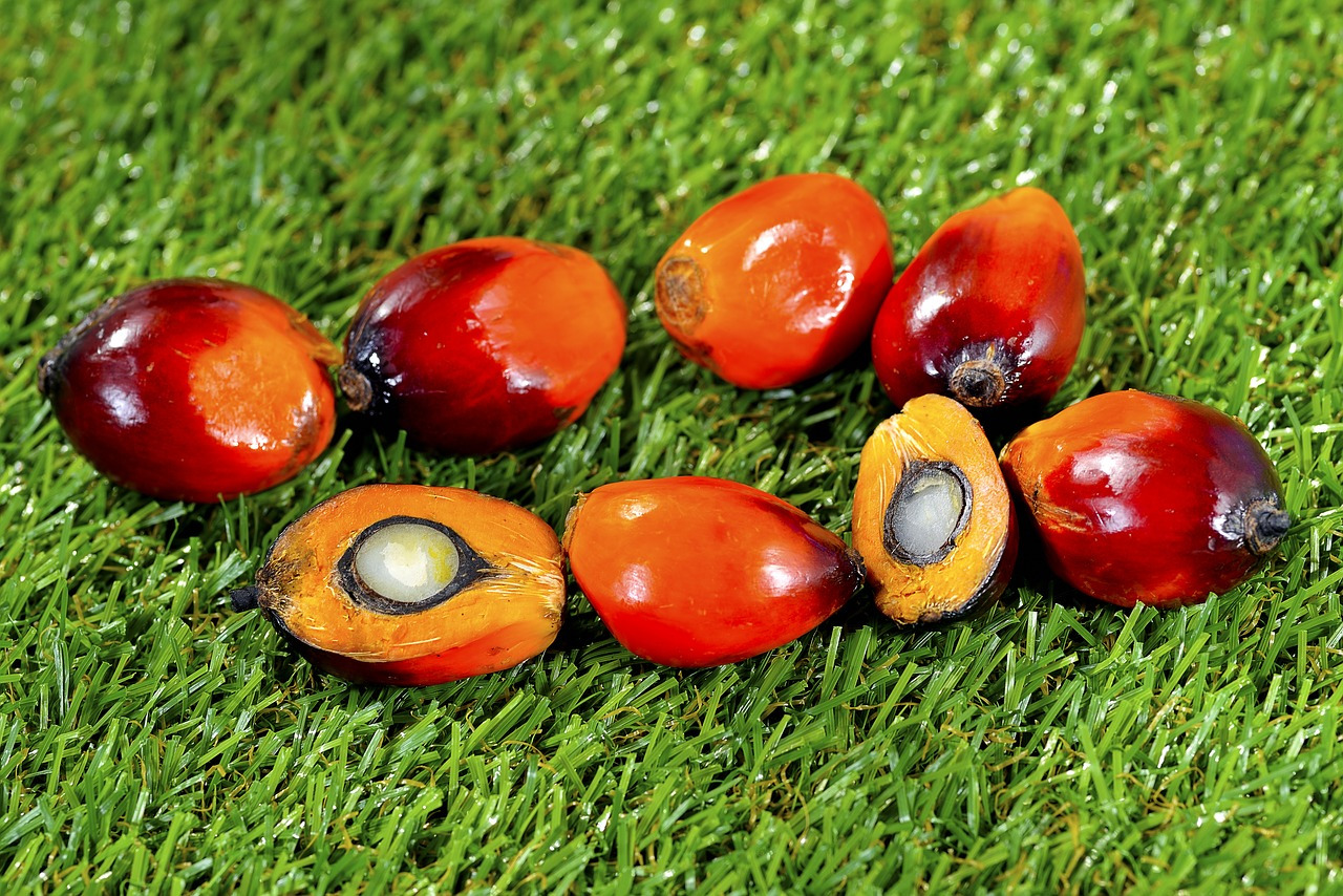 palm oil.jpg