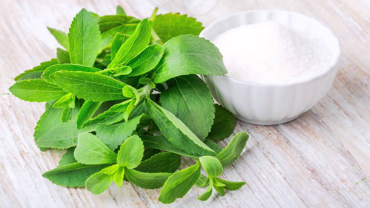 Stevia.jpg
