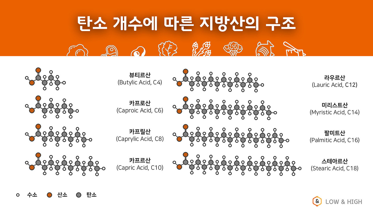 탄소 개수에 따른 지방산의 구조.jpg