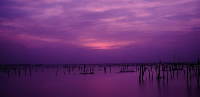 sunset-in-tam-giang-lagoon-2305953_960_720.jpg