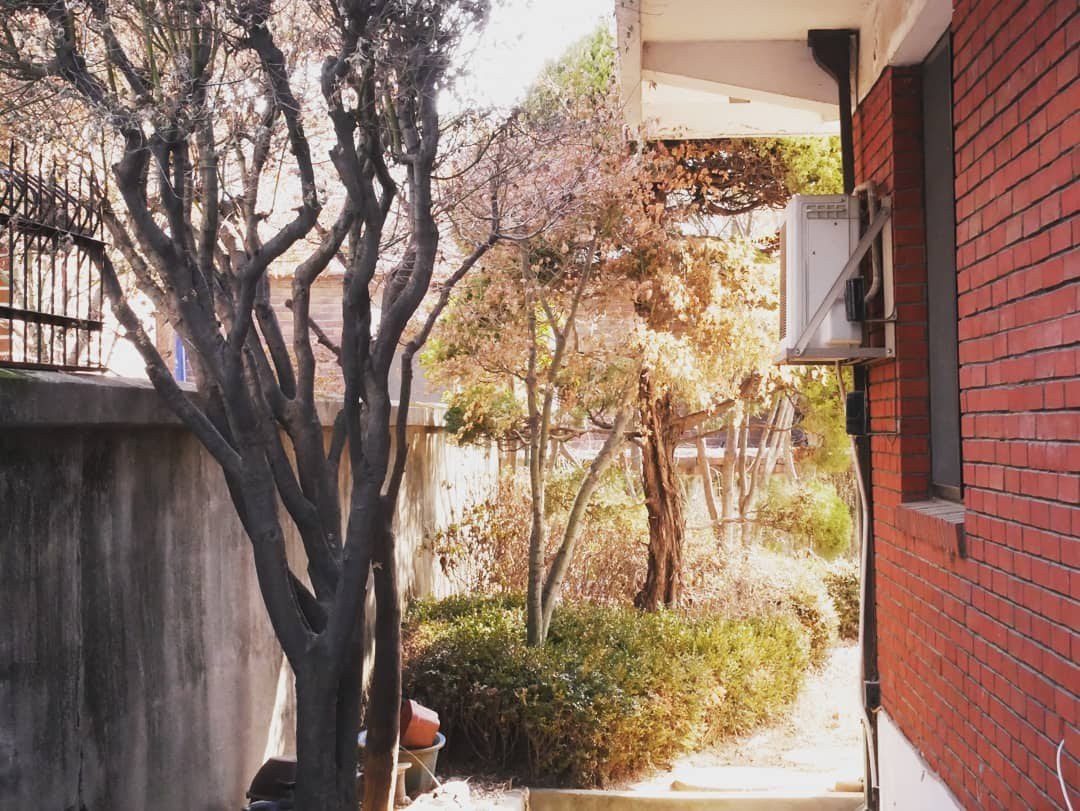 다운로드 (2).jpg