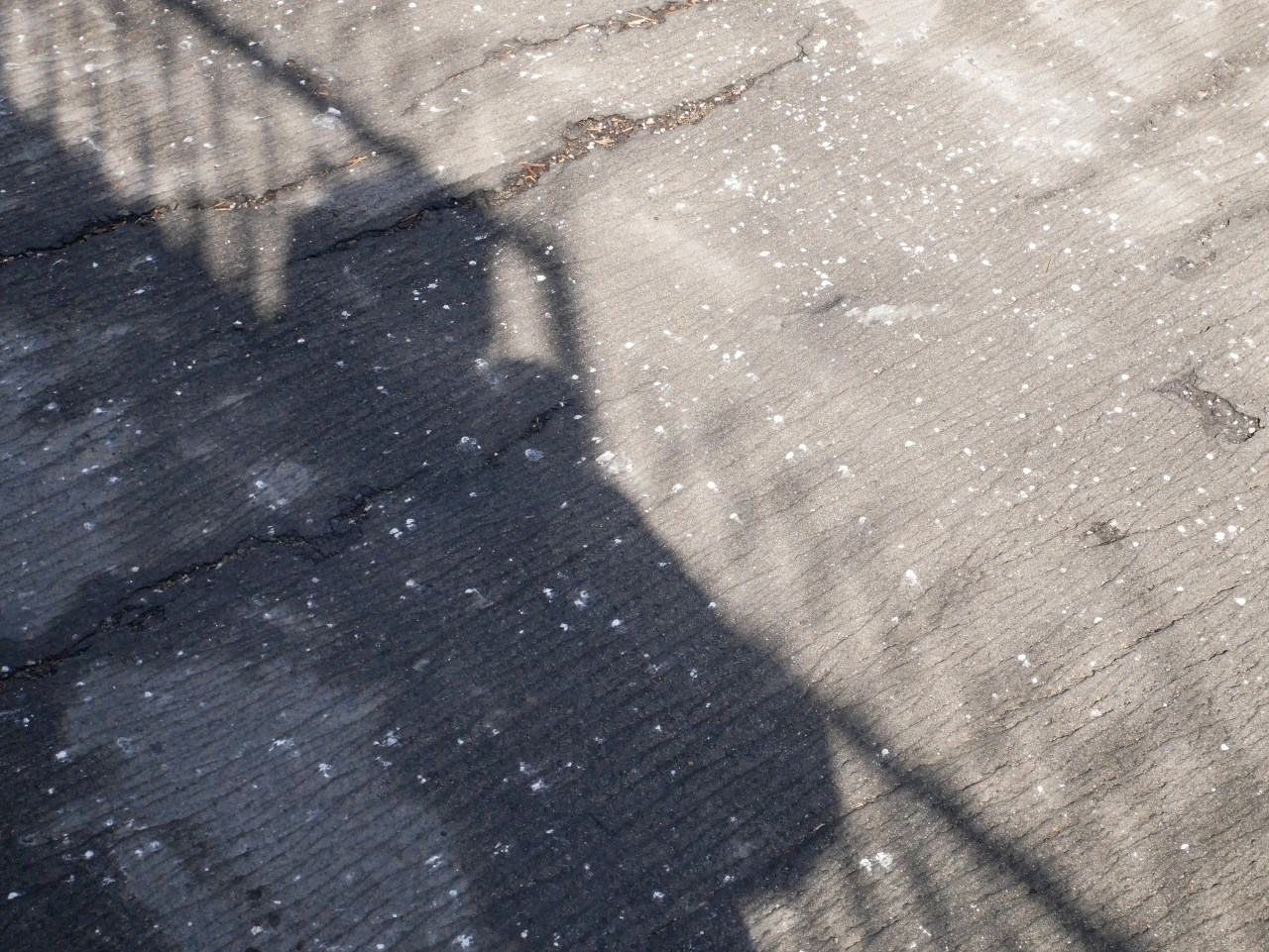 다운로드 (4).jpg