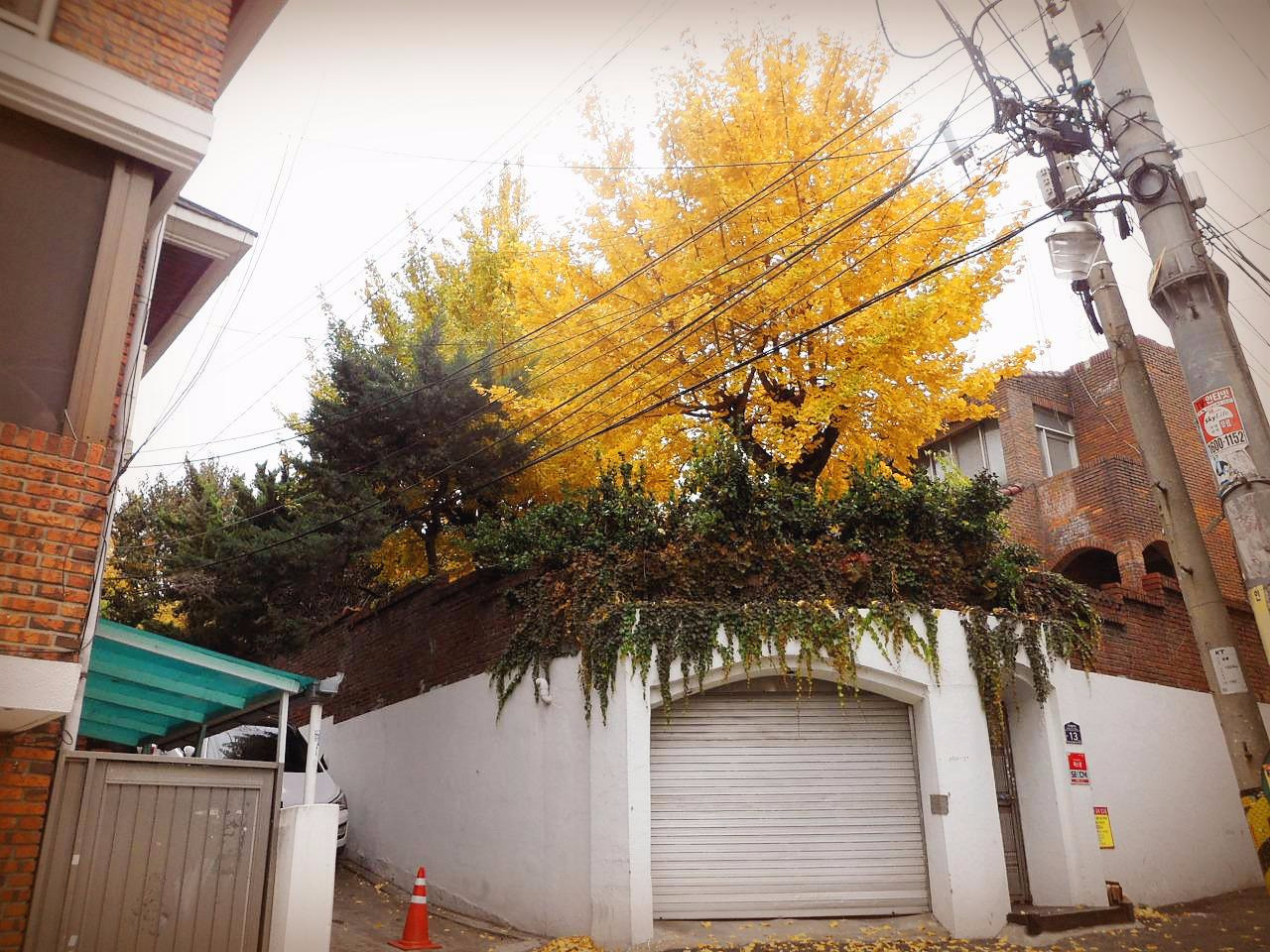 숙대 자취방 2.jpg