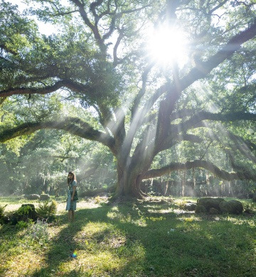 wherethecrawdadssing_banner_2572x1100_copyright (1).jpg