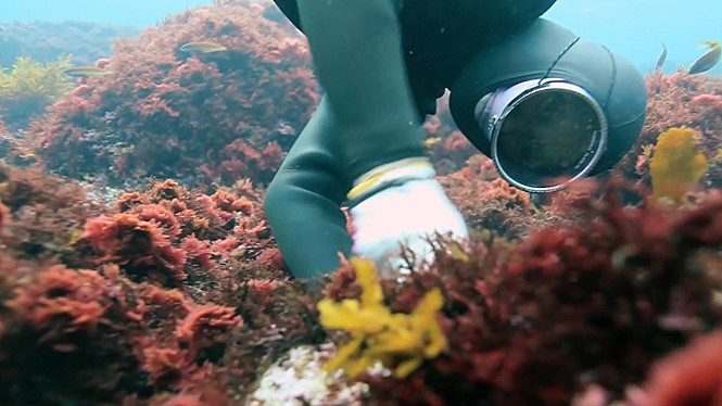 movie_image (11).jpg