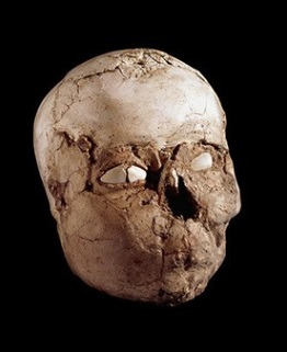 예리코 두개골.jpg