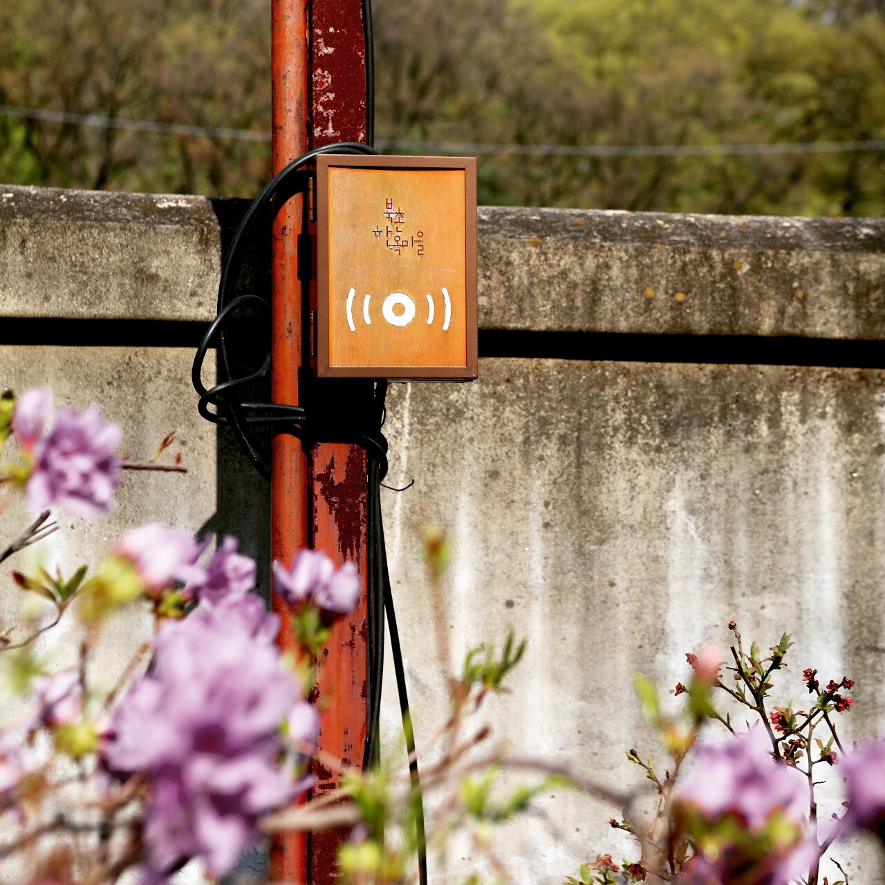 사진 2018. 4. 17. 오후 3 58 39.jpg