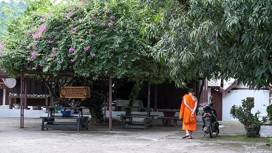 _DSF9060-2 복사.jpg