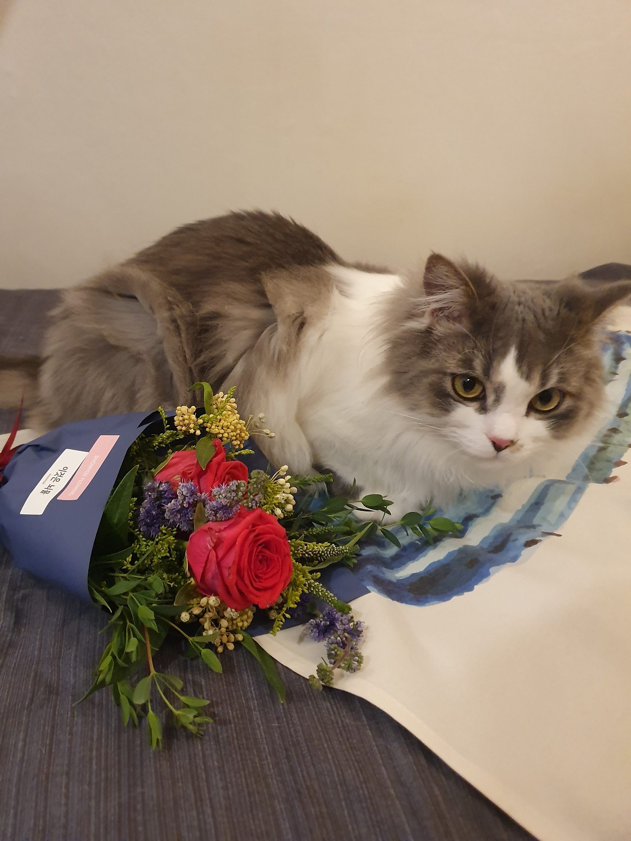 KakaoTalk_20210731_135317903_04 (1).jpg