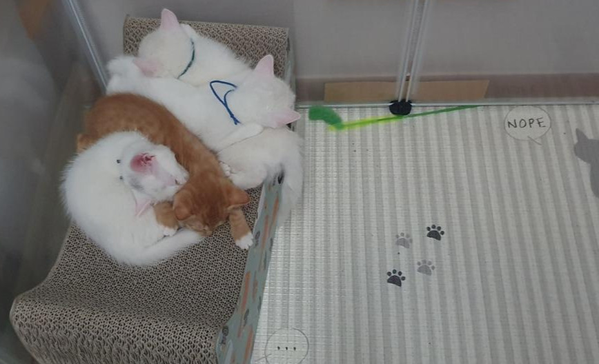 KakaoTalk_20210711_171436348_02 (1).jpg