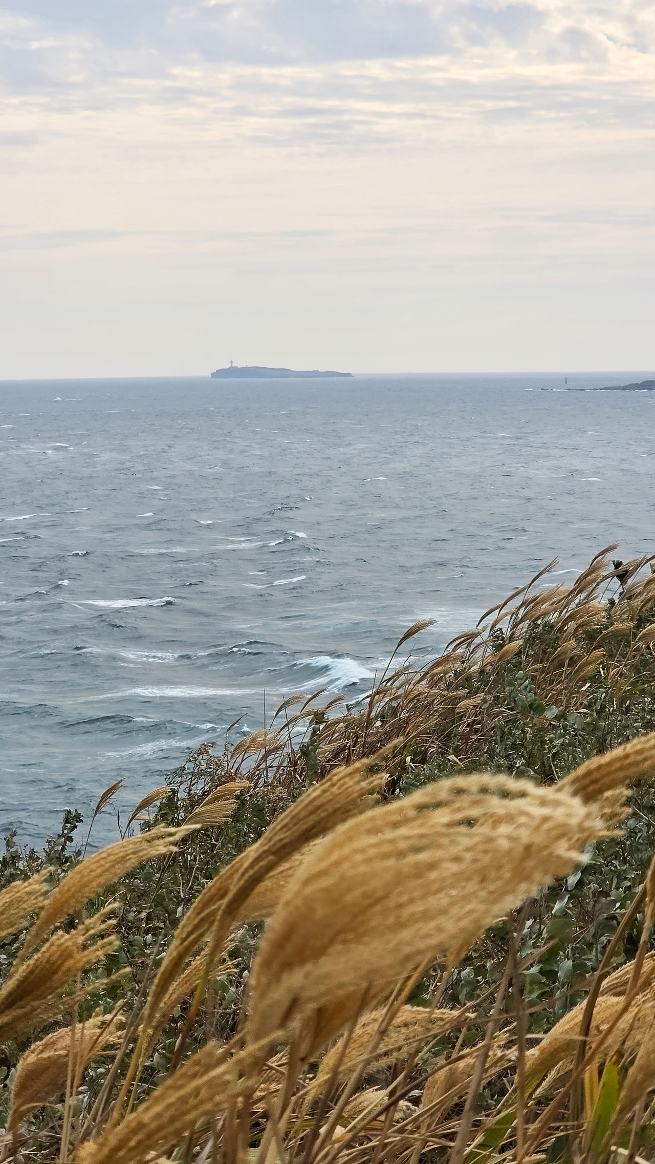 13-가파도가 보이는 송악산 전망대.jpg