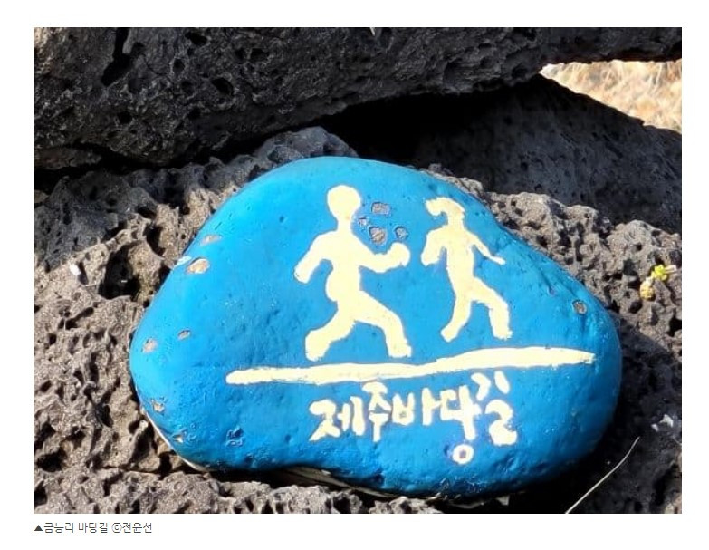 화면 캡처 2022-06-08 205137.jpg