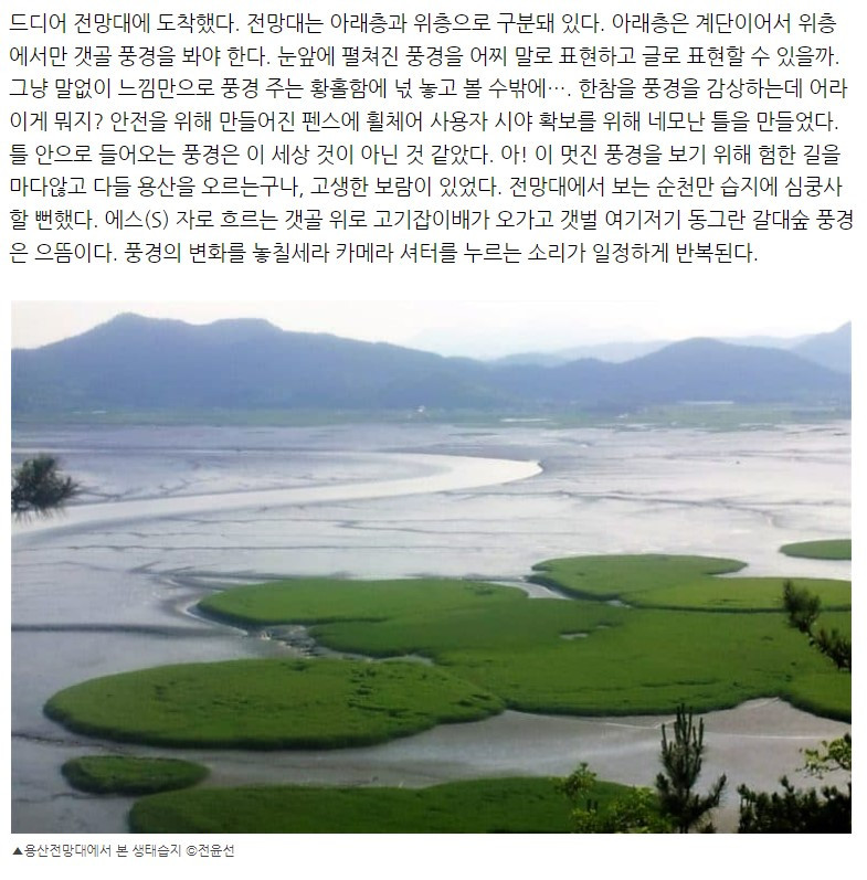 화면 캡처 2022-05-17 193529.jpg