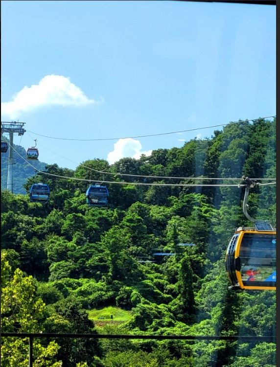 화면 캡처 2022-07-30 141746.jpg