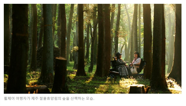 화면 캡처 2022-10-01 205917.jpg