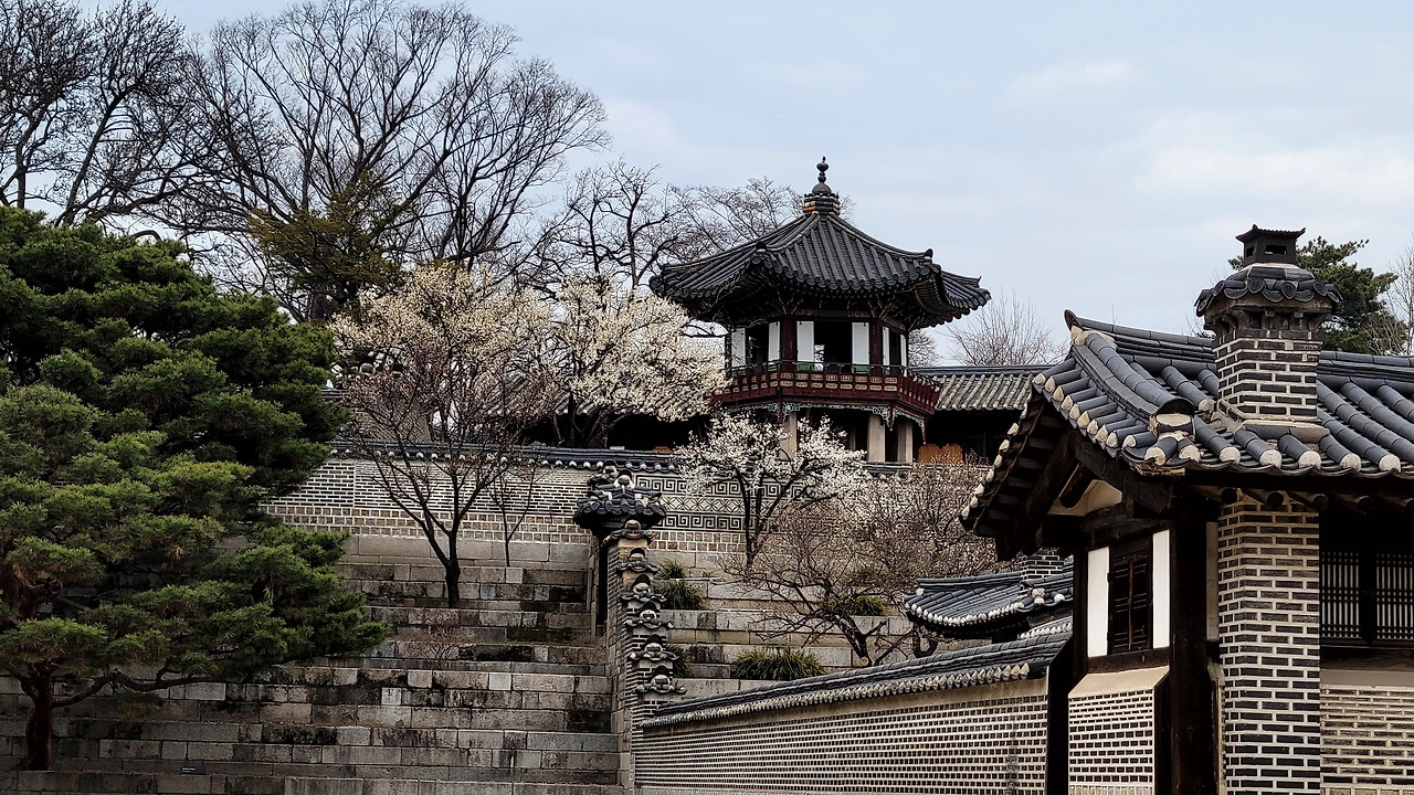 KakaoTalk_20240322_190423360_13 (2).jpg