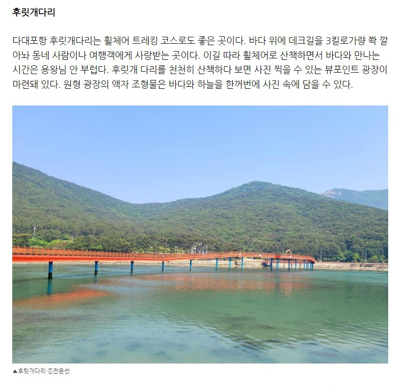 화면 캡처 2022-06-23 165545.jpg