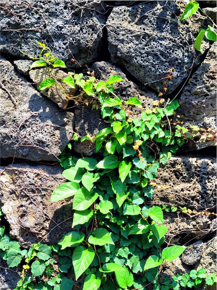 화면 캡처 2022-06-26 163630.jpg