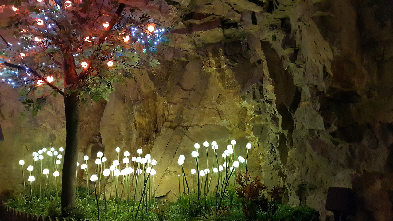 20171128_151410 - 복사본.jpg