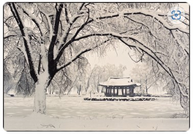 화면 캡처 2022-08-21 175237.jpg