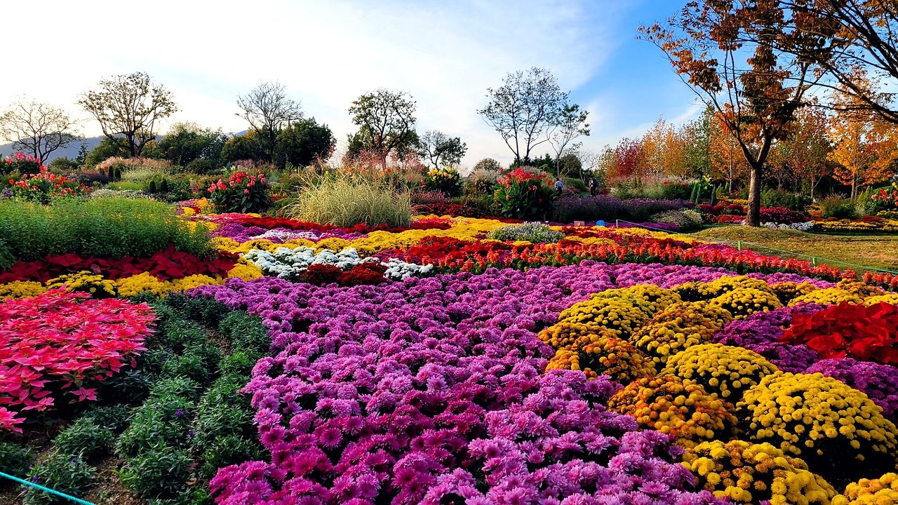 KakaoTalk_20231018_211216987_10 - 복사본.jpg