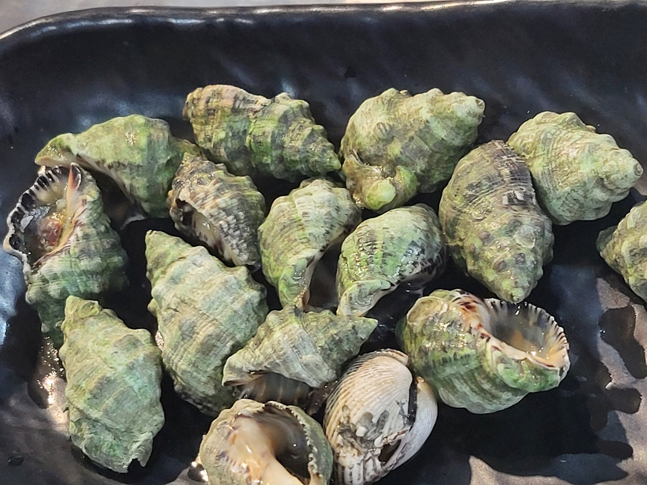 KakaoTalk_20230228_201540932_01 (1).jpg