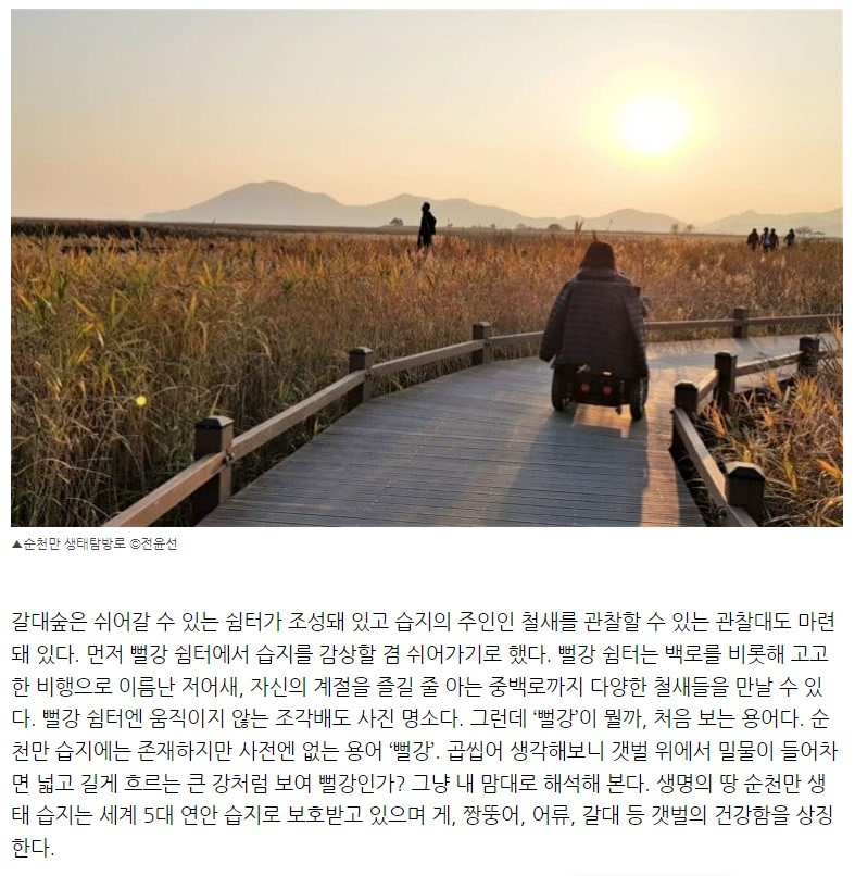 화면 캡처 2022-05-17 193407.jpg