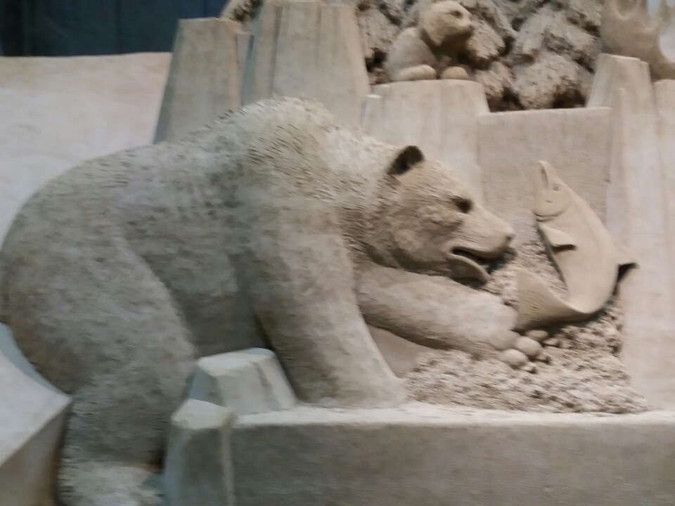 KakaoTalk_20170929_200351460 - 복사본.jpg