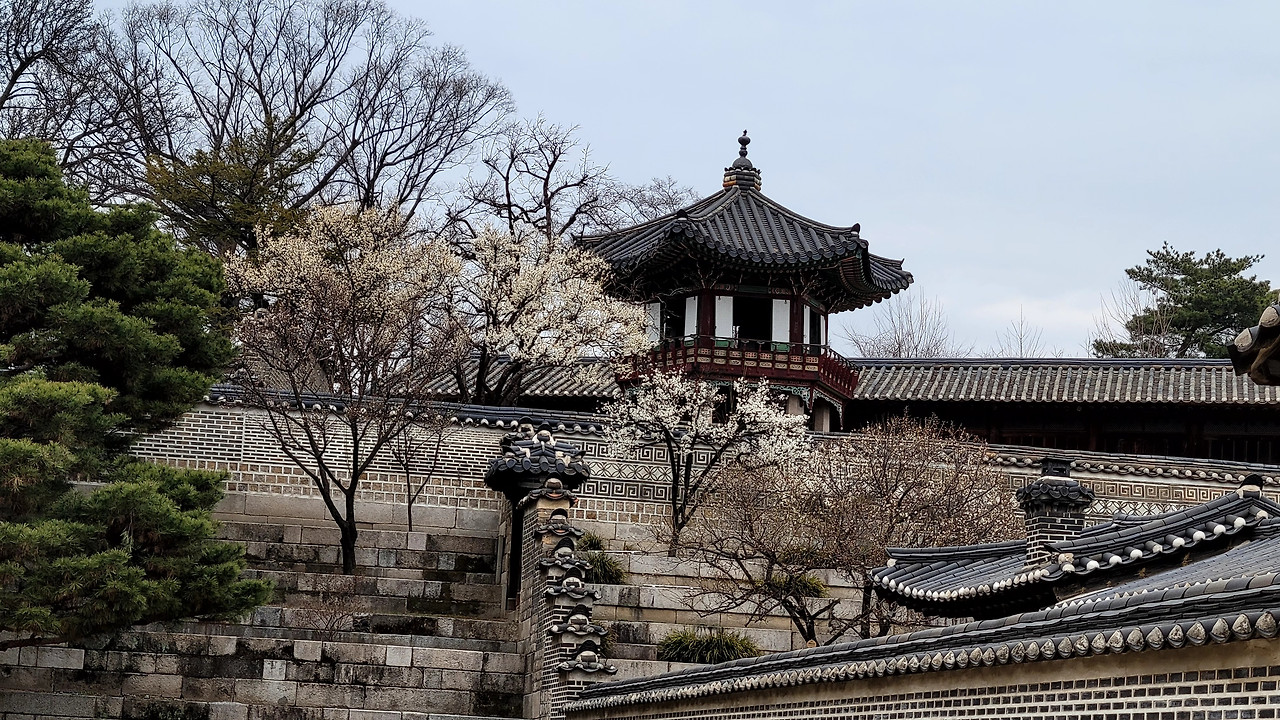 KakaoTalk_20240322_190423360_02 (3).jpg