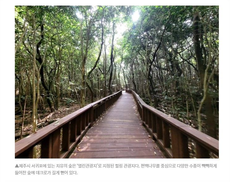 화면 캡처 2022-10-08 171936.jpg