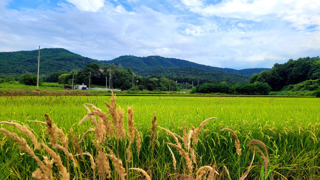 KakaoTalk_20220912_190324120 (1).jpg