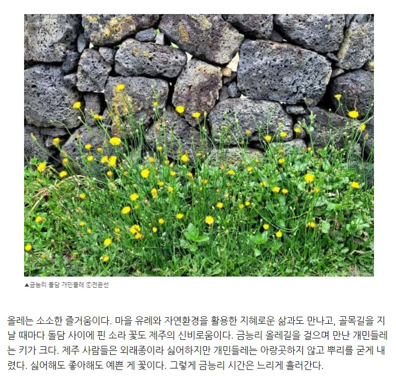 화면 캡처 2022-06-08 192625.jpg