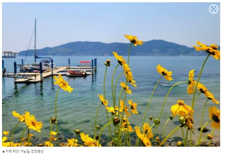 화면 캡처 2022-06-23 165952.jpg