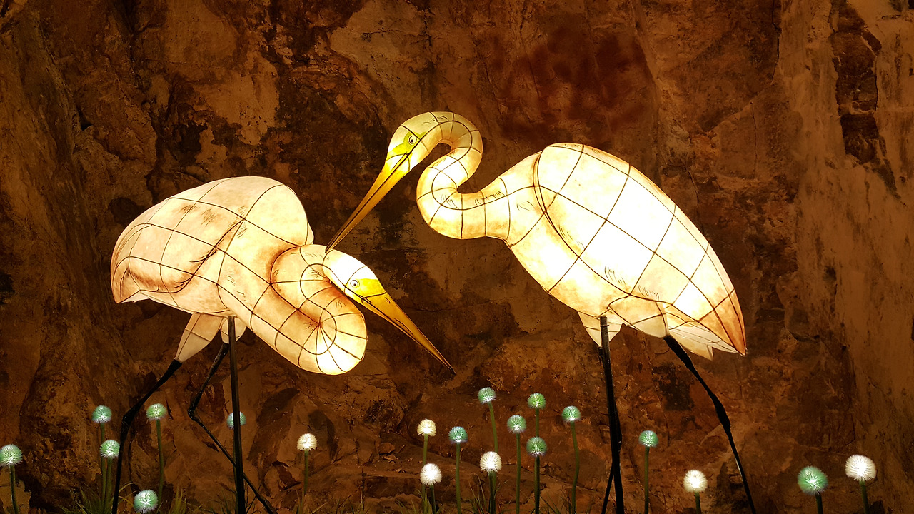 20171128_152431 - 복사본 (2).jpg