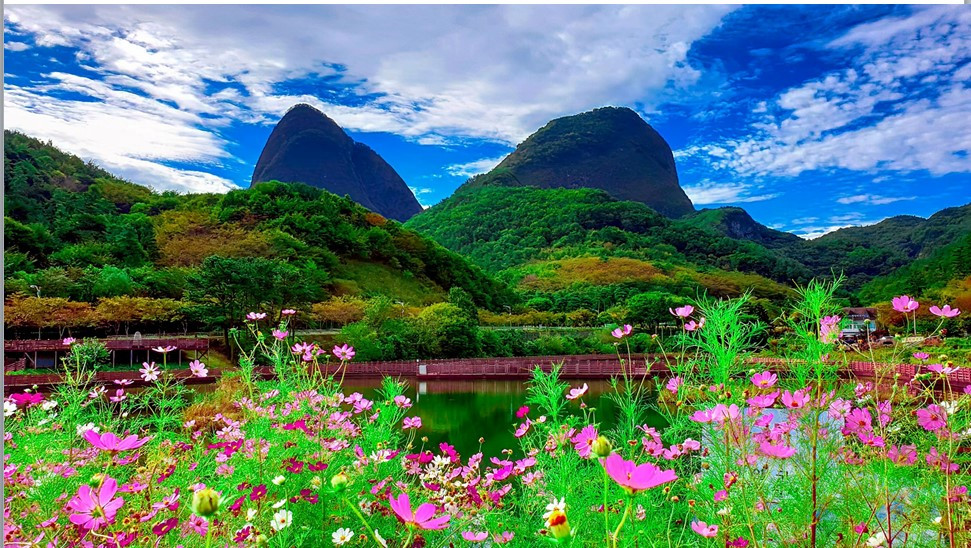 화면 캡처 2022-08-18 154201.jpg